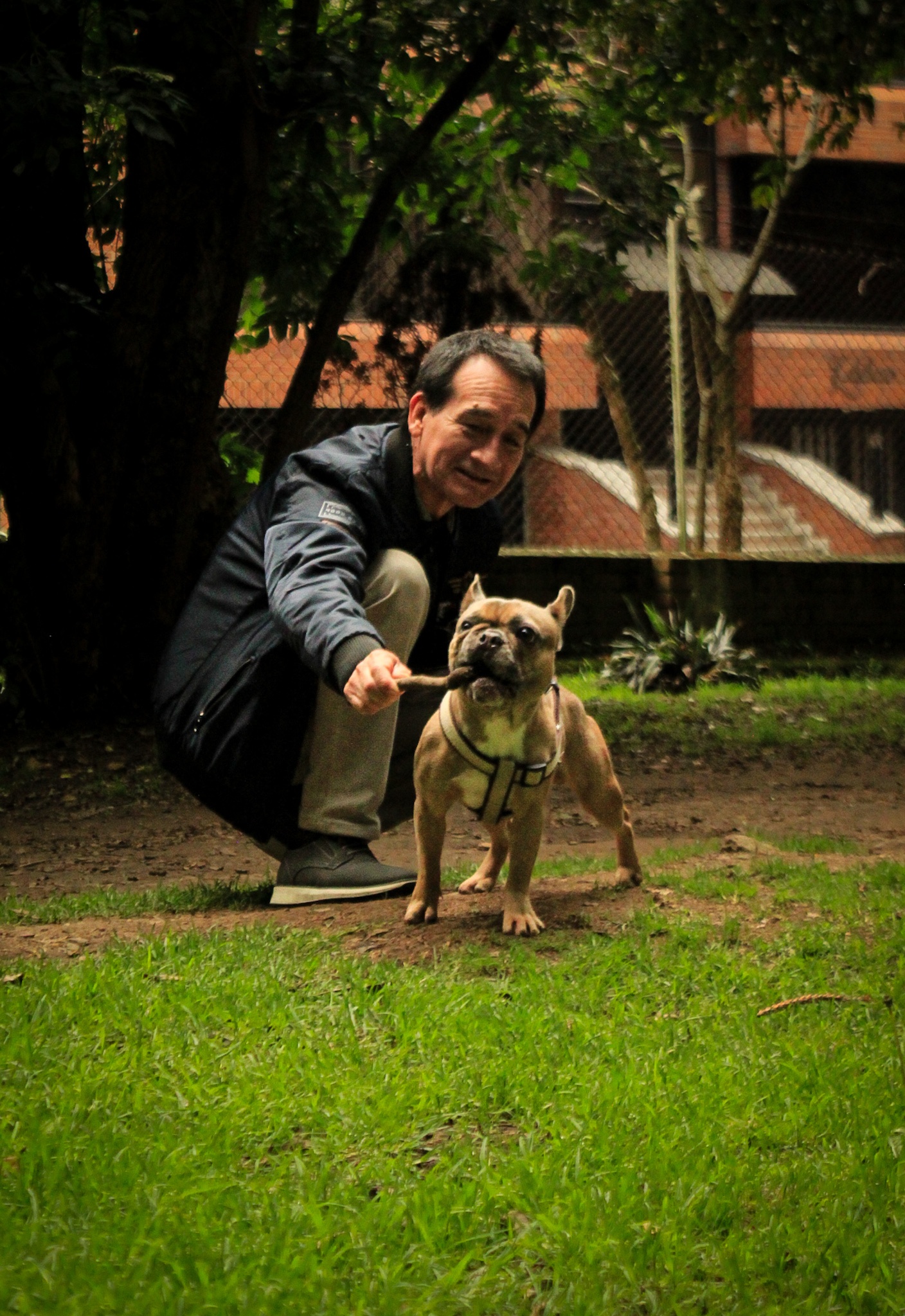 Retrato 10